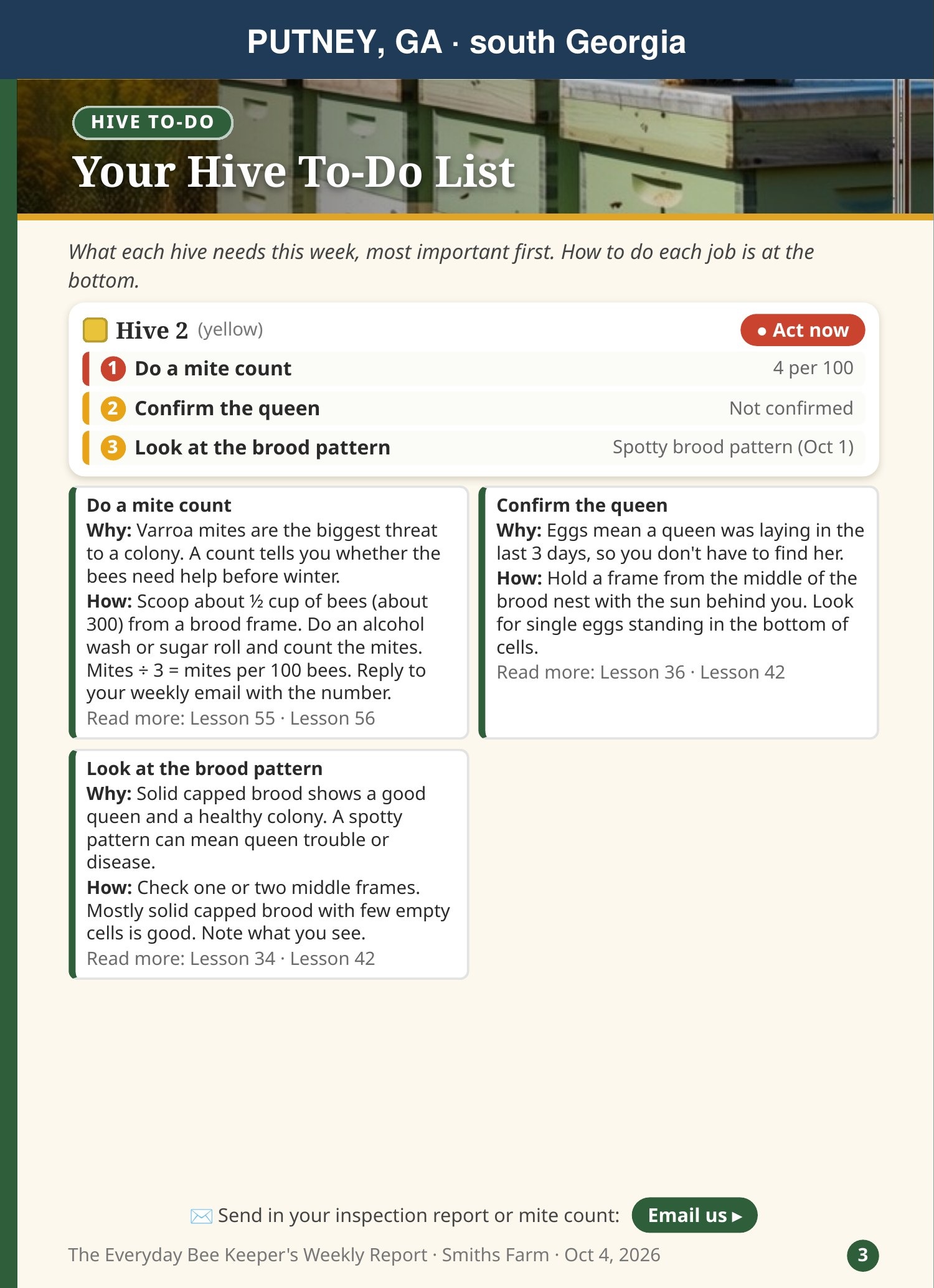 Your Hive To-Do List