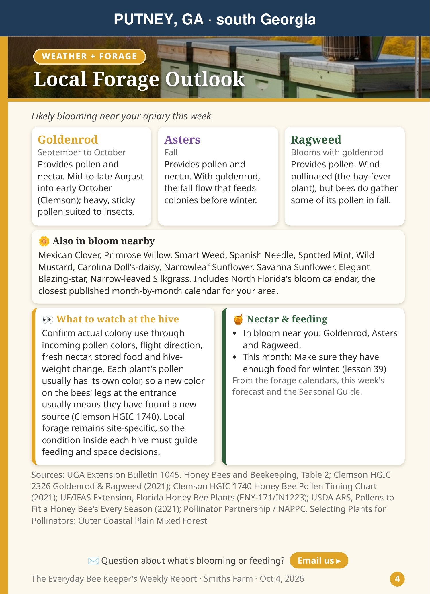 Local Forage Outlook