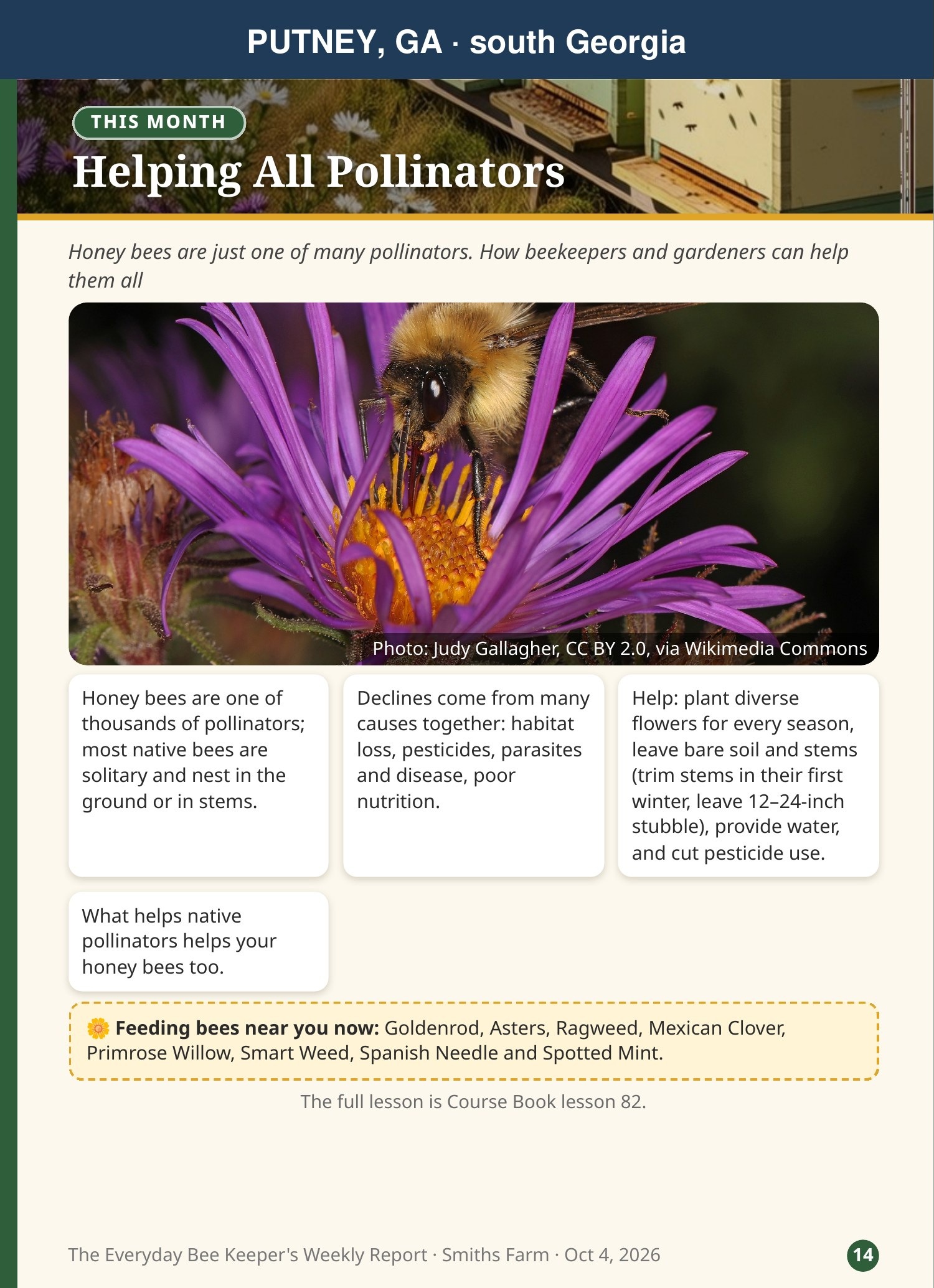 Helping All Pollinators